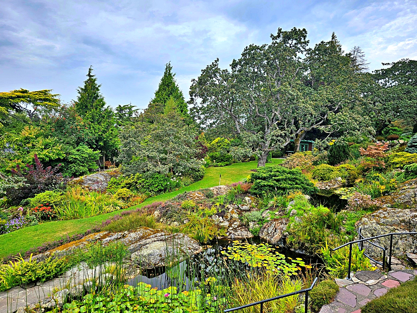 Abkhazi Garden: mature trees, rocky paths and a pond, photographed in August 2024.