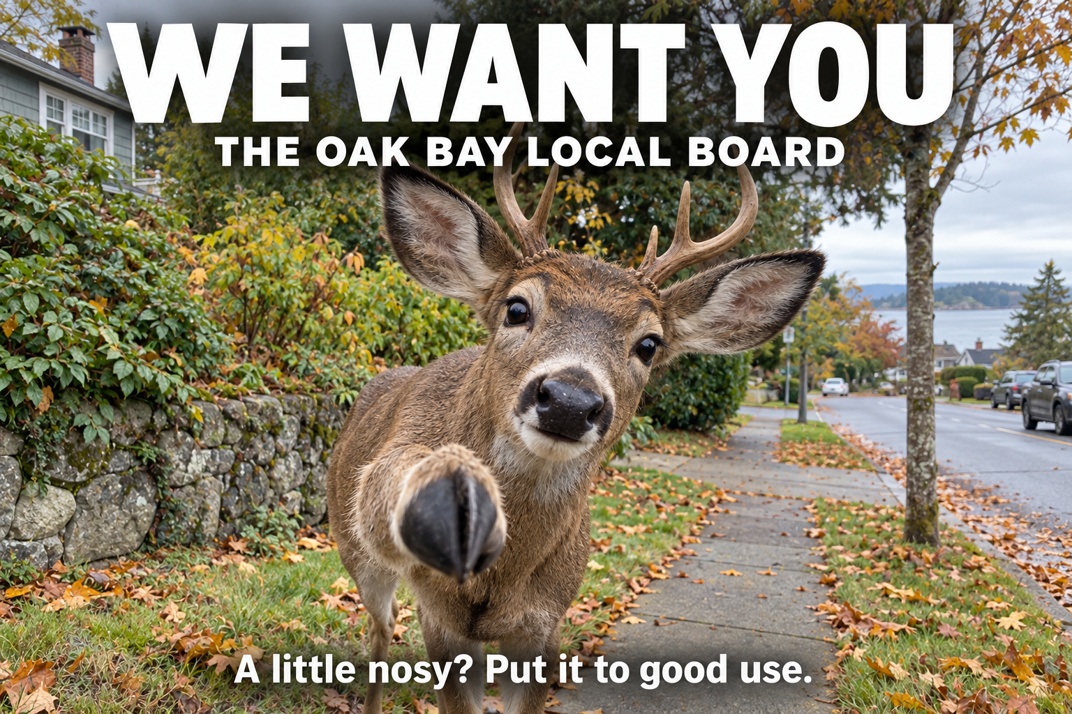 AI-generated deer pointing a raised hoof toward the reader. We want you: The Oak Bay Local Board. A little nosy? Put it to good use.