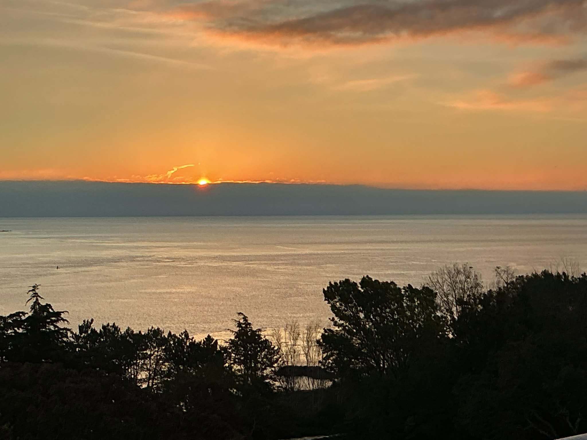 Orange sunrise over the water, with trees in the foreground.