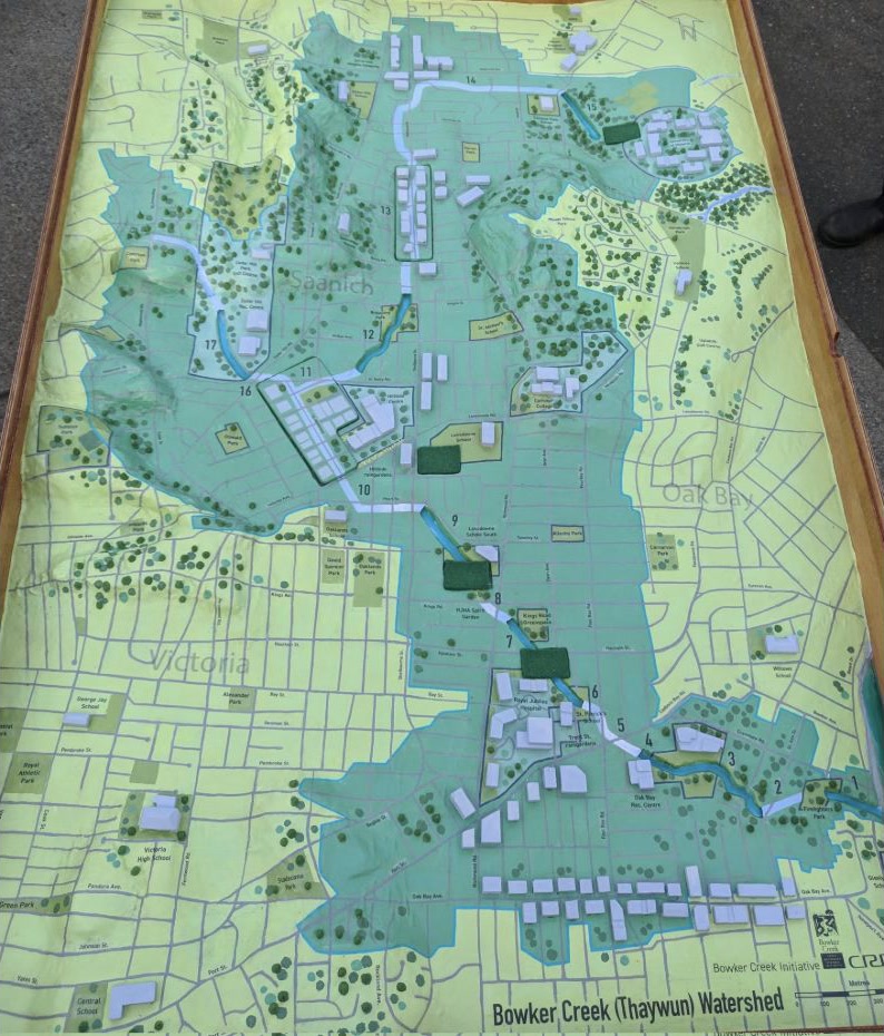 The Bowker Creek watershed model, showing the creek from Oak Bay through Saanich and Victoria.