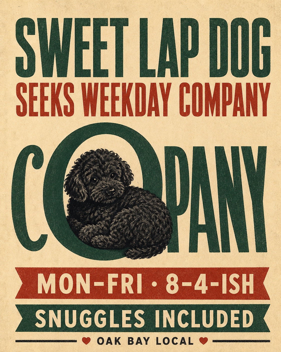 Notice: Sweet Lap Dog Seeks Weekday Company